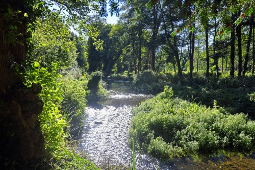 The River Darent at Lullingstone Castle Garden