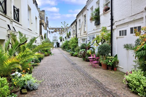 Lots of Greenery to Brighten Up Stanhope Mews in South Kensington