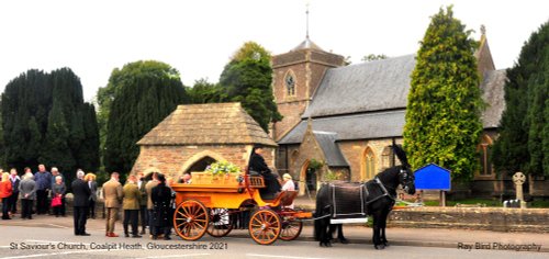 Horses on Funeral Carriage, St Saviour's Church, Coalpit Heath, Gloucestershire 2021