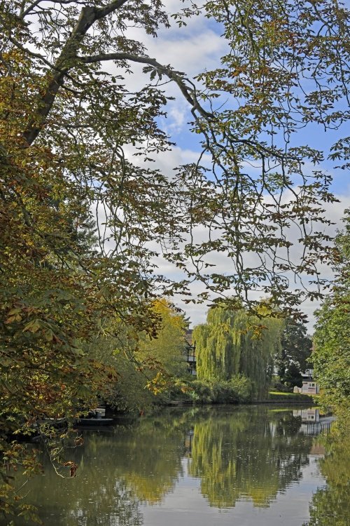 The River Avon, Bath