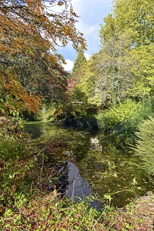 The Botanical Gardens, Bath
