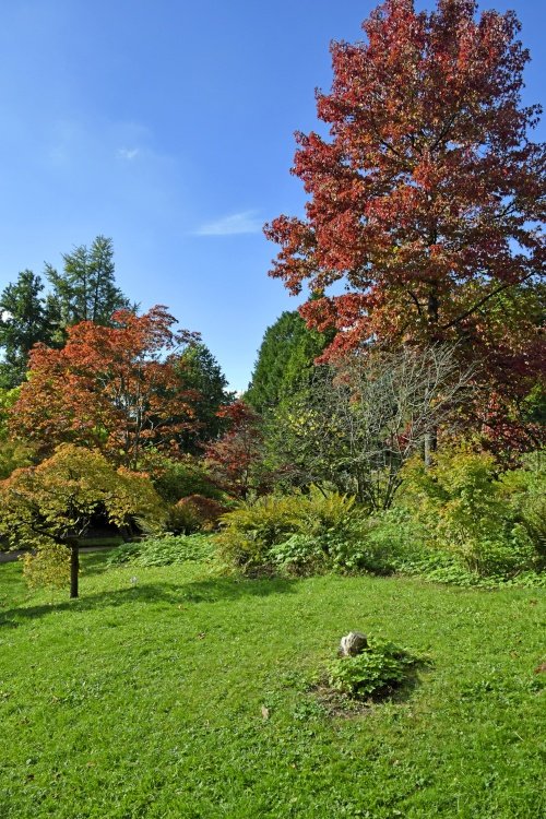 The Botanical Gardens, Bath