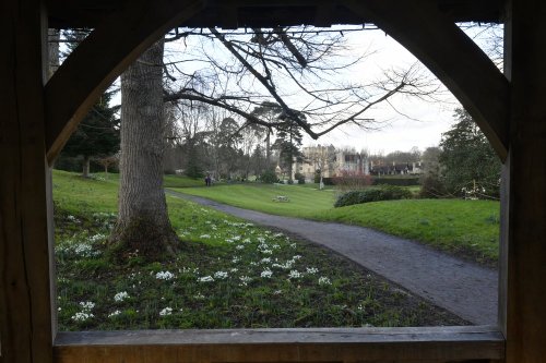 Snowdrops at Hever Castle Garden