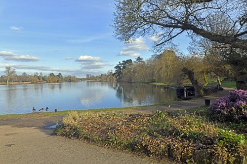 The Lake at Hever Castle Garden