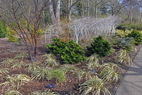 RHS Garden at Wisley