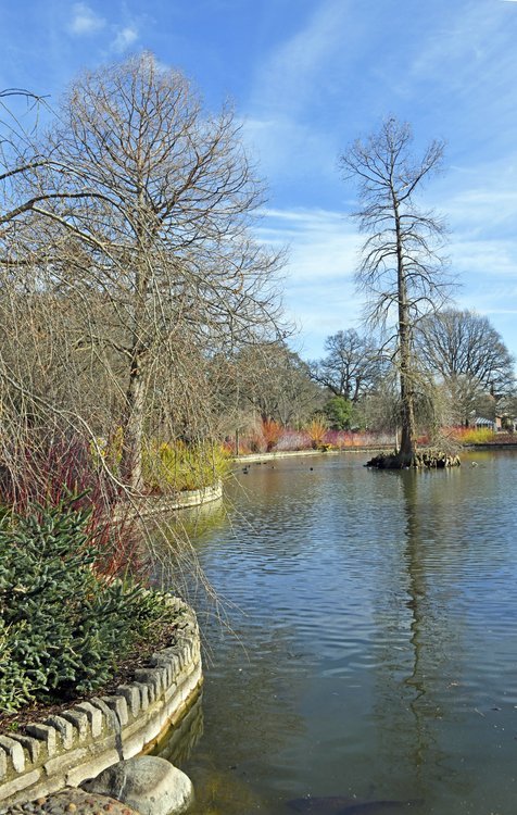 RHS Garden at Wisley
