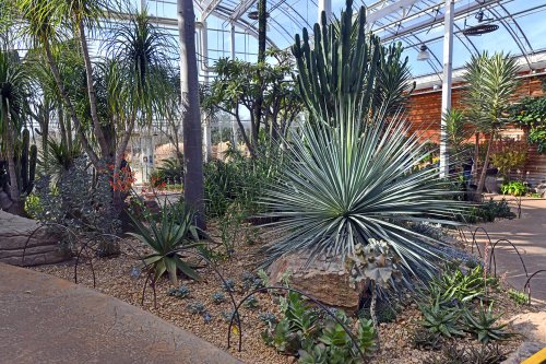 RHS Garden at Wisley