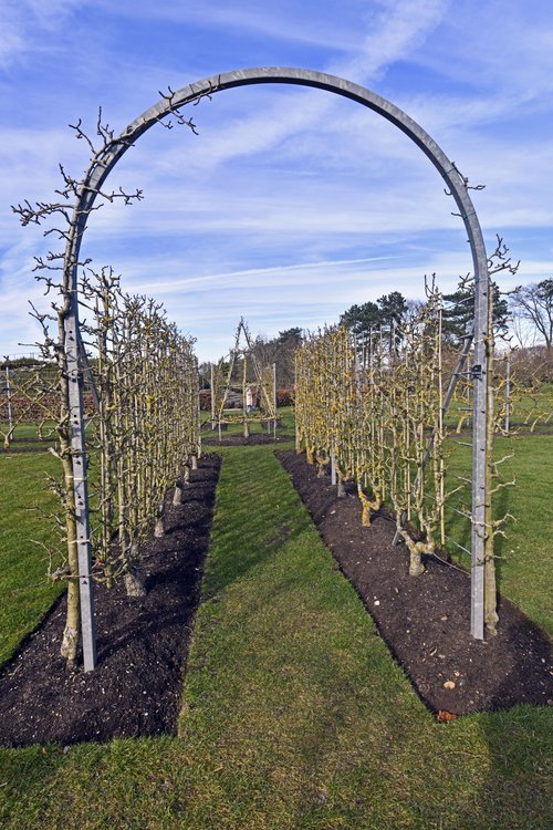 The gardens at RHS Wisley