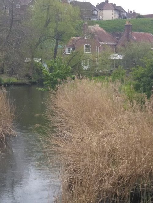 River scene in Wareham