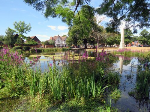 The pond, Harefield