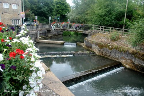River Avon, Malmesbury, Wiltshire 2022