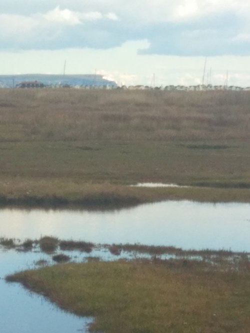 View from Stanpit Marsh, Christchurch