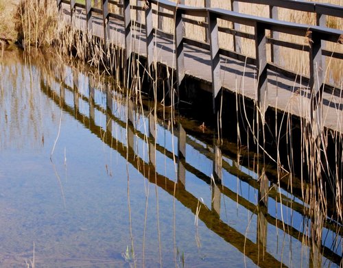 Wooden Footbridge
