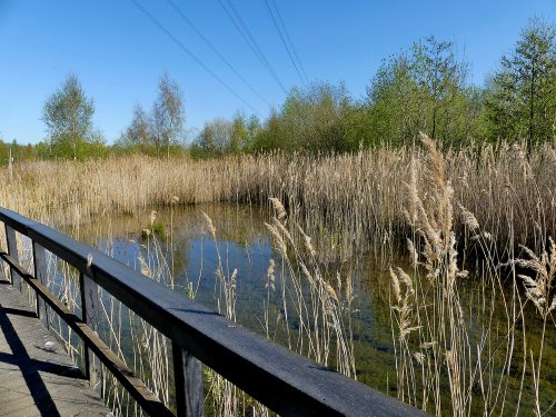 Bridge and Pond RSPB Old Moor