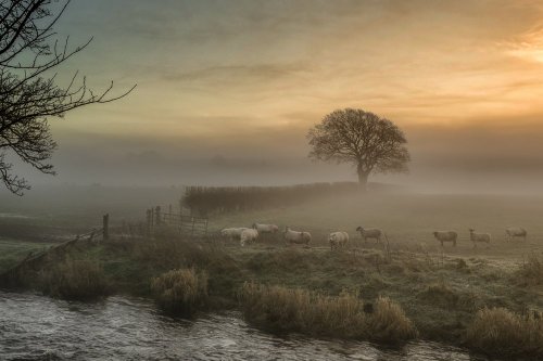 Winters Morning near Dalrymple