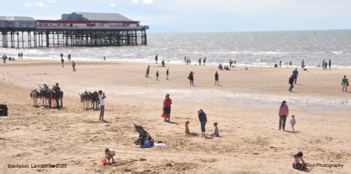 Blackpool, Lancashire 2023