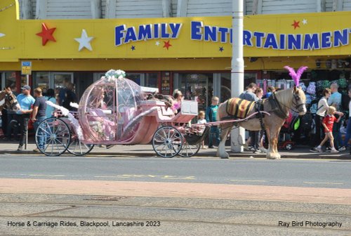 Horse & Carroage Rides, Blackpool, Lancashire 2023