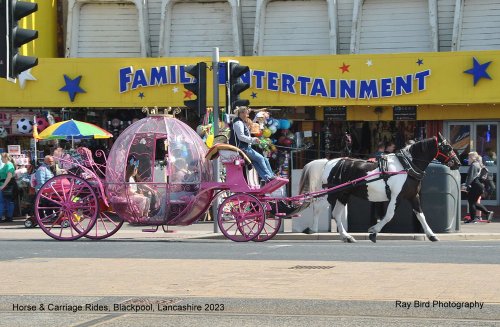 Horse & Carriage Rides, Blackpool, Lancashire 2023