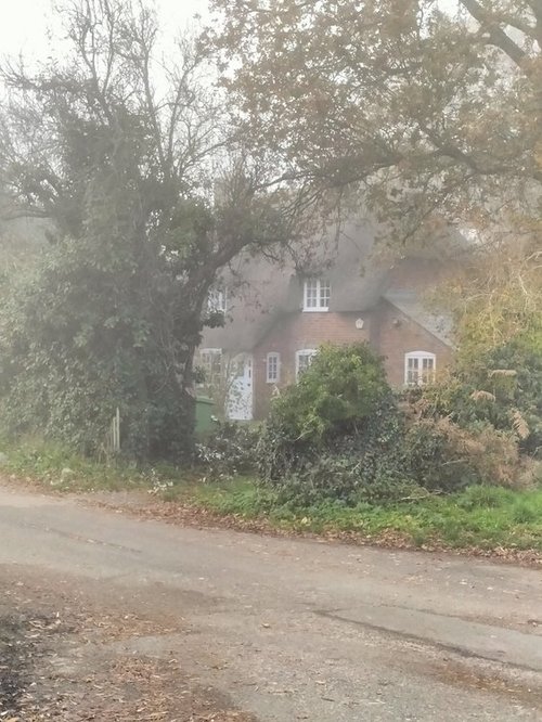 Charming quintessentially English country cottage in the fog near Christchurch