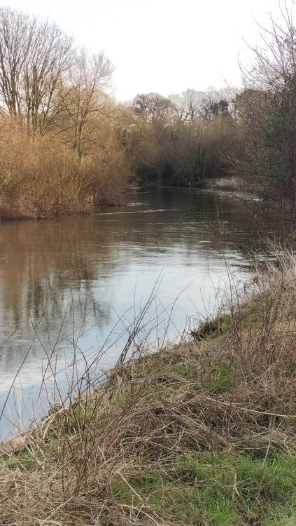 The River Stour at Iford near Bournemouth