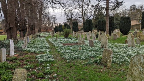 Snow Drops at St Michael and All Angels Church, Uffington, Lincs