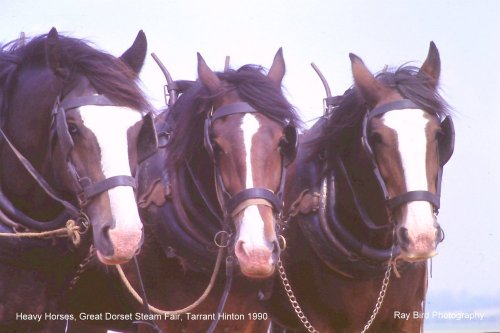 Great Dorset Steam Fair, Tarrant Hinton 1990