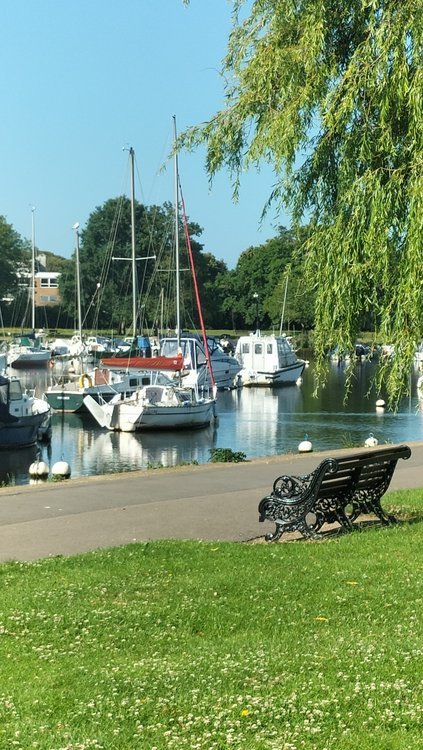 Boats on the river in Christchurch