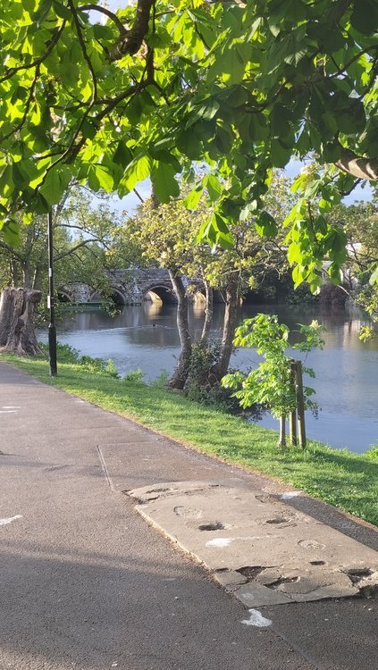 Tranquil river scene in Christchurch