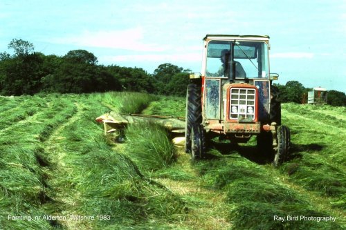 Grass Mowing, nr Alderton, Wiltshire 1983