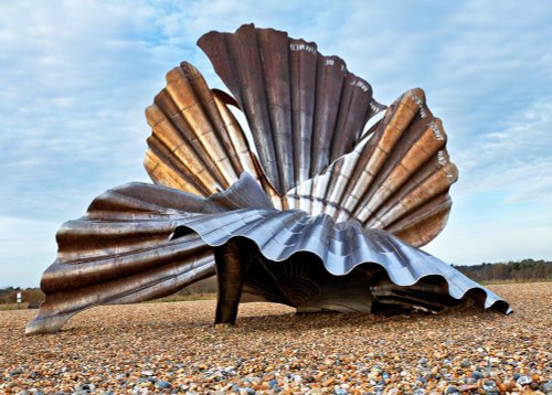 Scallop on Aldeburgh Beach, Suffolk
