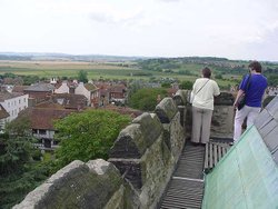 A picture of Rye Wallpaper