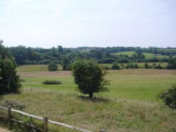 Where the actual Battle of Hastings took place in the Town of Battle Wallpaper
