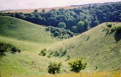 A picture of Barton Le Clay Wallpaper