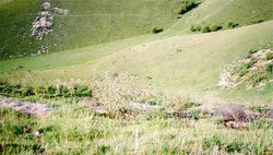 A picture of Barton Le Clay Wallpaper