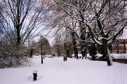 A picture of Bedford Wallpaper