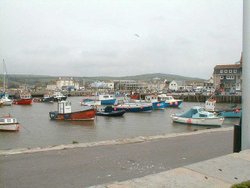 A picture of Bridport Wallpaper