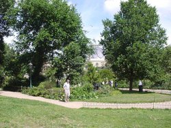 A picture of Brighton Wallpaper