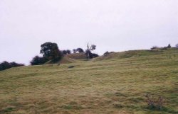 A picture of Cainhoe Castle
