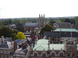 A picture of Oxford Wallpaper