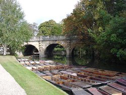 A picture of Oxford Wallpaper