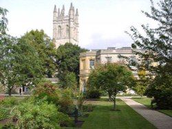 A view inside the Botanic Gardens of Oxford Wallpaper