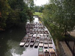 A picture of Oxford Wallpaper