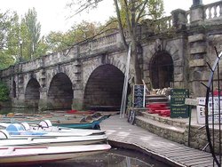 A picture of Oxford Wallpaper