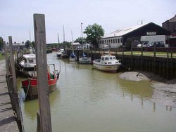 A picture of Rye Wallpaper