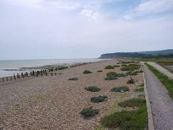 A picture of Rye Wallpaper