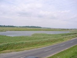 A picture of Rye Wallpaper