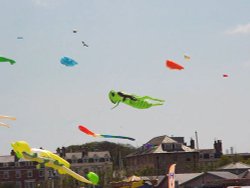 Kites on show at Weymouth Beach Wallpaper