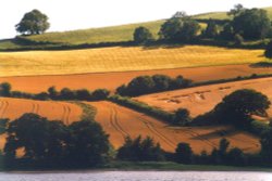 A picture of Totnes Wallpaper