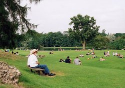 Enjoying the Park