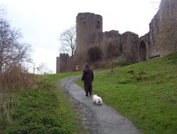 Ludlow Castle Walk. Built by Henry VIII for Catherine of Aragon Wallpaper